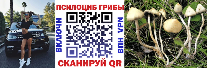 Купить  Борисоглебск  Галлюциногенные грибы прущие грибы 